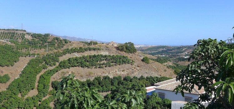 Villa Andalusië tussen mangobomen op 17km van zee