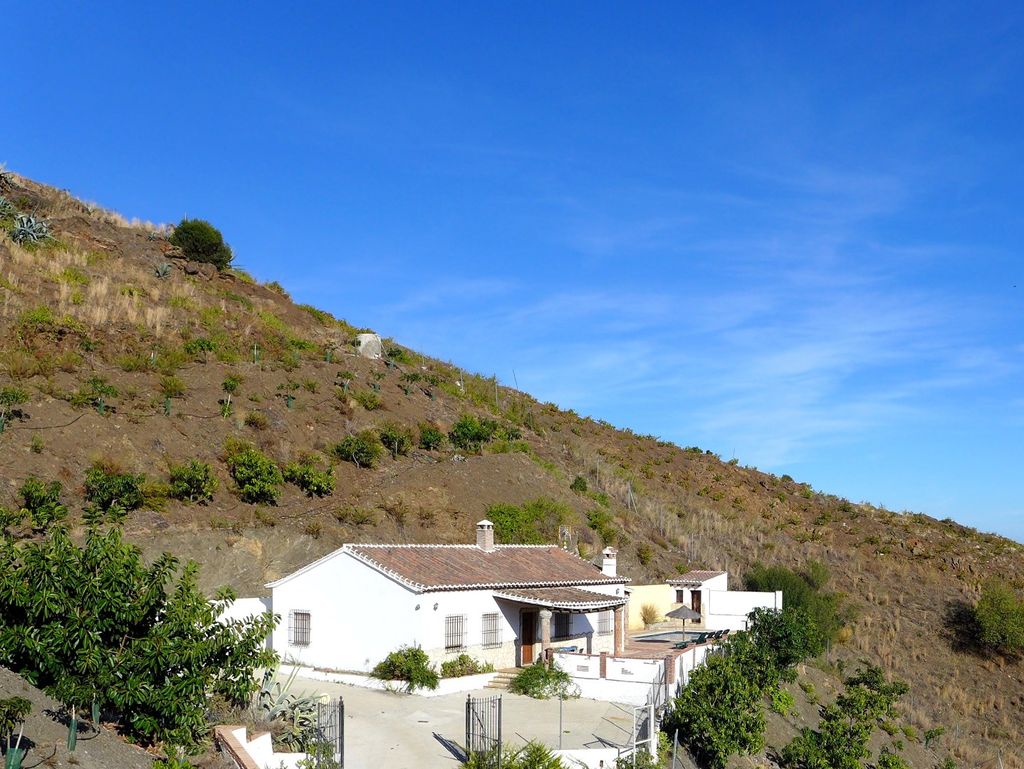 Villa El Cerro  - Villa Andalusië El Borge